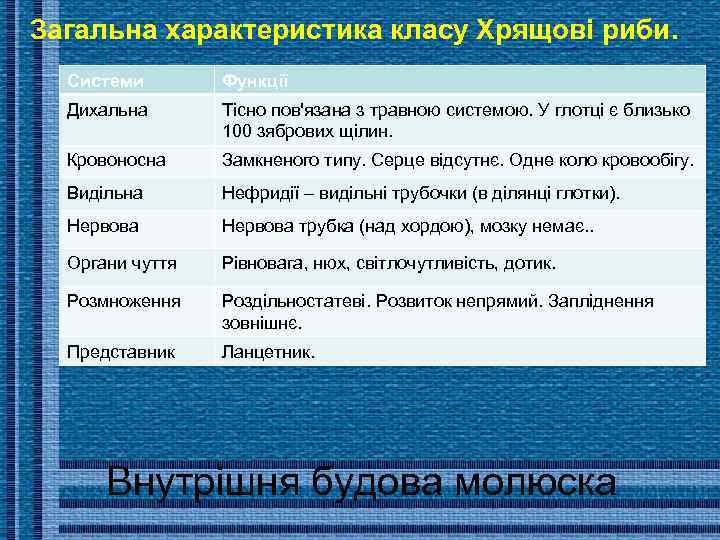 Загальна характеристика класу Хрящові риби. Системи Функції Дихальна Тісно пов'язана з травною системою. У