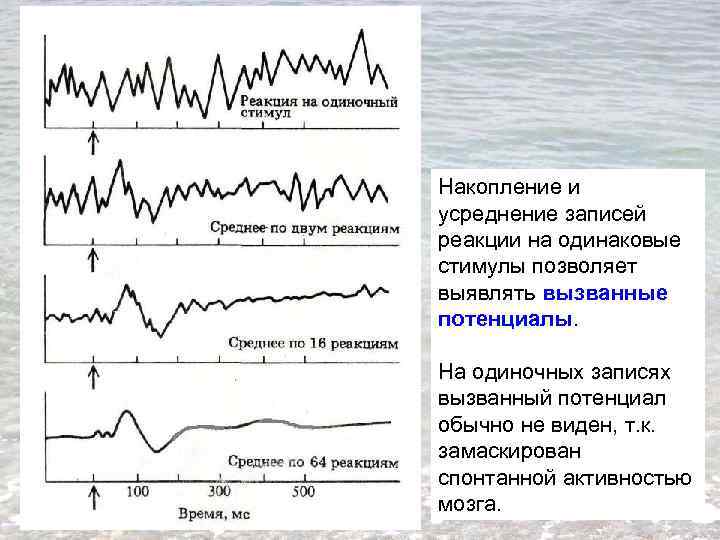 Накопление и усреднение записей реакции на одинаковые стимулы позволяет выявлять вызванные потенциалы. На одиночных