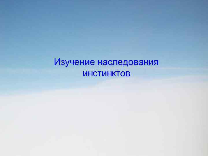 Изучение наследования инстинктов 