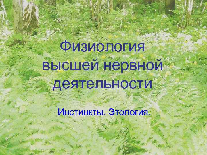 Физиология высшей нервной деятельности Инстинкты. Этология. 