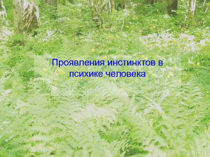 Проявления инстинктов в психике человека 