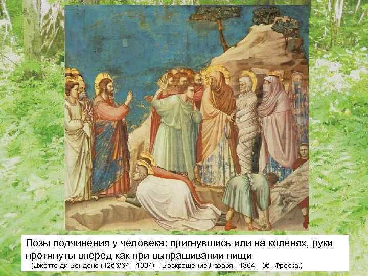 Позы подчинения у человека: пригнувшись или на коленях, руки протянуты вперед как при выпрашивании