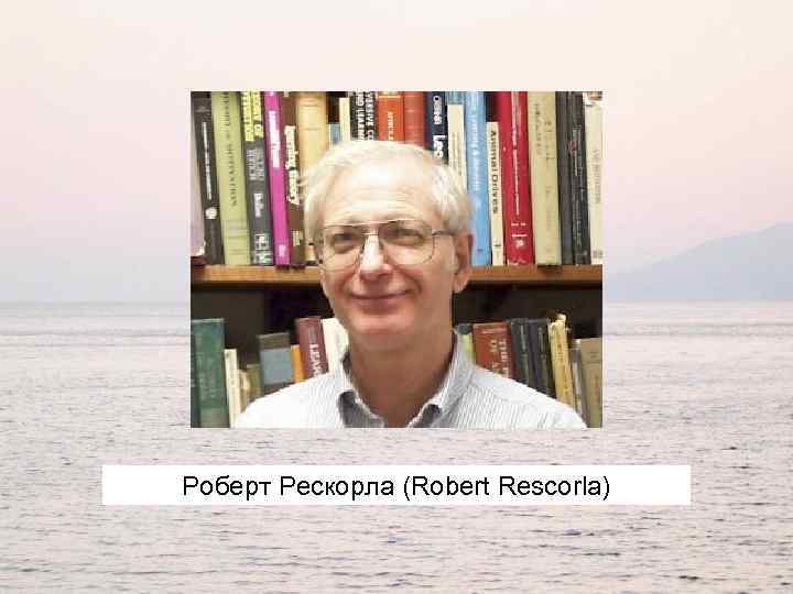 Роберт Рескорла (Robert Rescorla) 