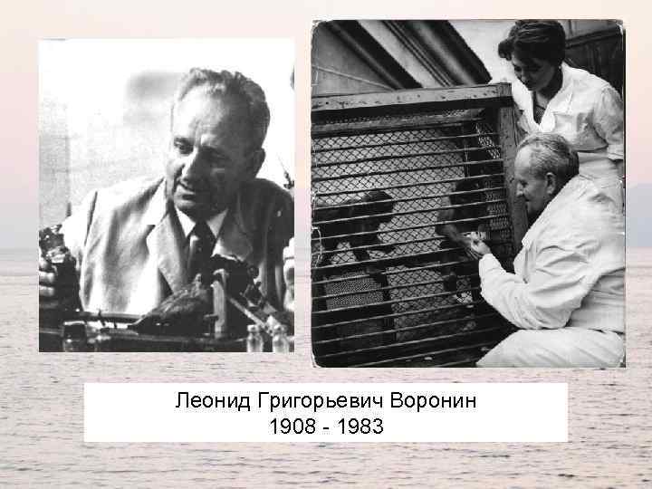 Леонид Григорьевич Воронин 1908 - 1983 