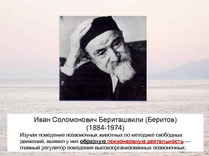 Иван Соломонович Бериташвили (Беритов) (1884 -1974) Изучая поведение позвоночных животных по методике свободных движений,