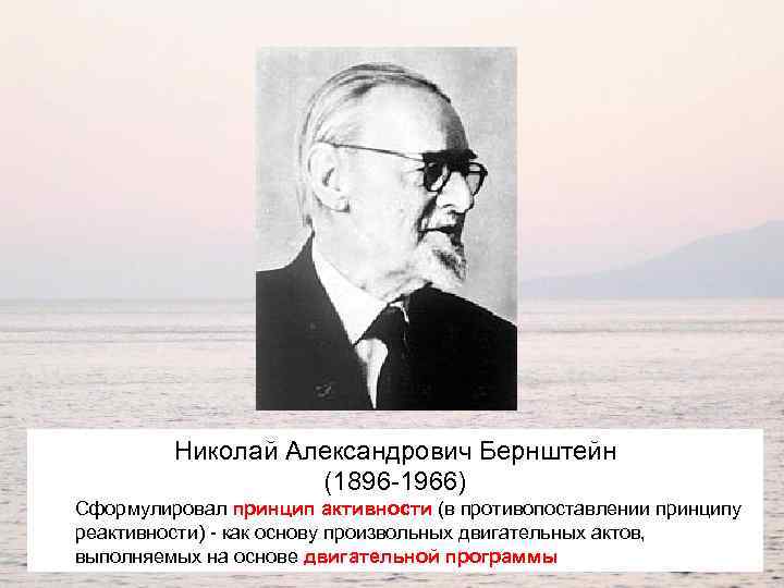 Николай Александрович Бернштейн (1896 -1966) Сформулировал принцип активности (в противопоставлении принципу реактивности) - как