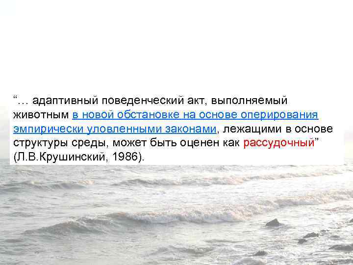 “… адаптивный поведенческий акт, выполняемый животным в новой обстановке на основе оперирования эмпирически уловленными