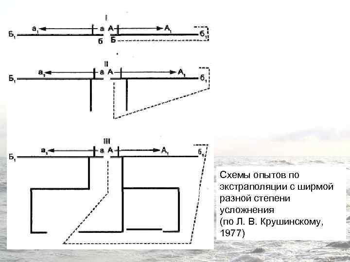 Схемы опытов по экстраполяции с ширмой разной степени усложнения (по Л. В. Крушинскому, 1977)