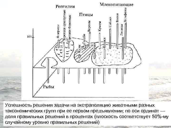 Успешность решения задачи на экстраполяцию животными разных таксономических групп при ее первом предъявлении; по