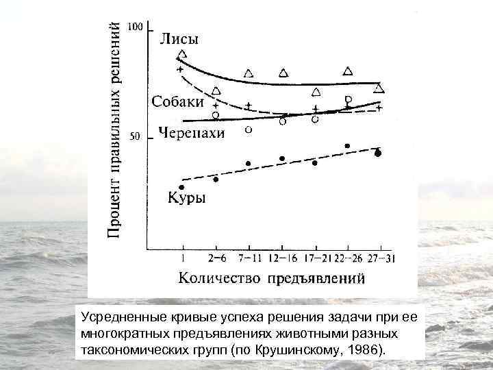 Усредненные кривые успеха решения задачи при ее многократных предъявлениях животными разных таксономических групп (по