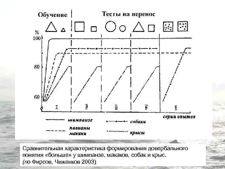 Сравнительная характеристика формирования довербального понятия «больше» у шимпанзе, макаков, собак и крыс. (по Фирсов,