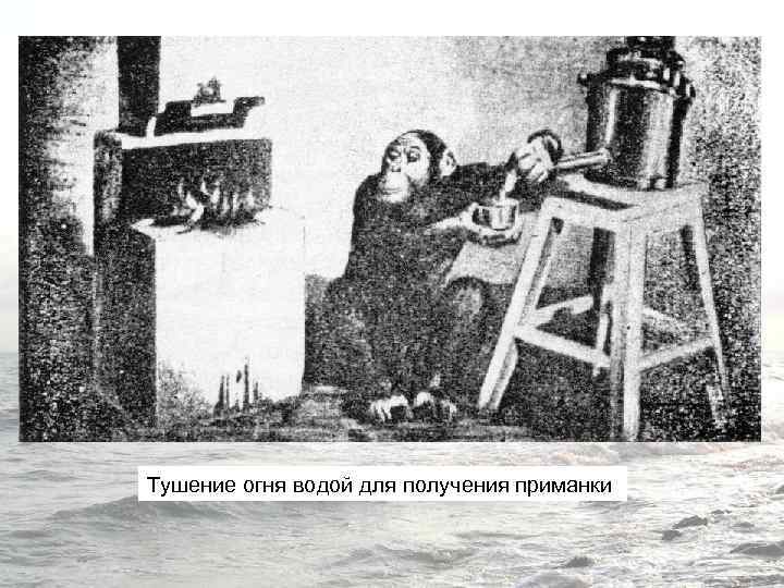 Тушение огня водой для получения приманки 