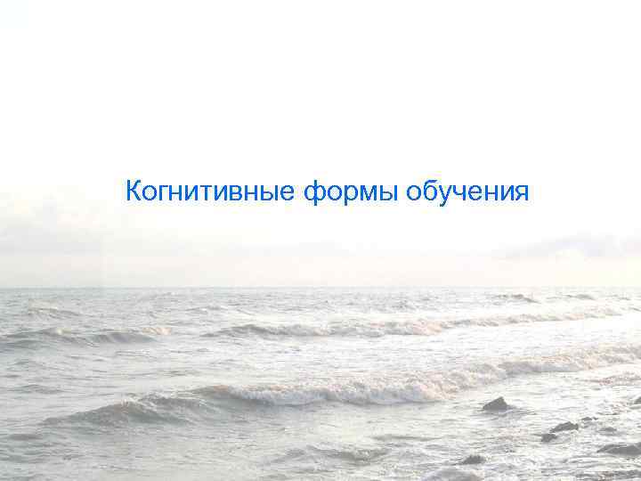 Когнитивные формы обучения 