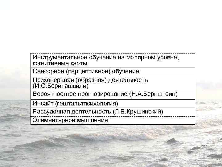 Инструментальное обучение на молярном уровне, когнитивные карты Сенсорное (перцептивное) обучение Психонервная (образная) деятельность (И.