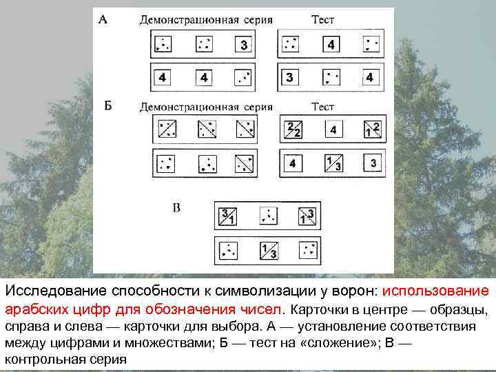 Какая условность изображения обозначена цифрой