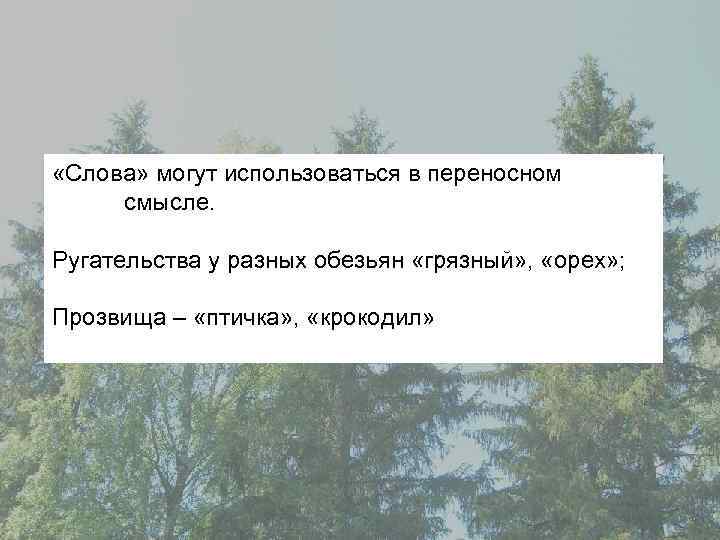  «Слова» могут использоваться в переносном смысле. Ругательства у разных обезьян «грязный» , «орех»