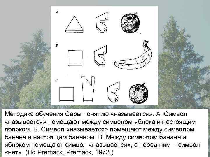 Методика обучения Сары понятию «называется» . А. Символ «называется» помещают между символом яблока и