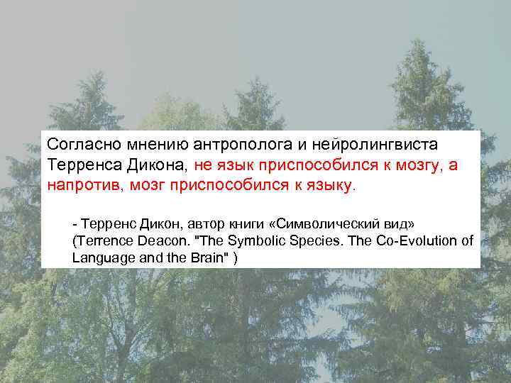 Согласно мнению антрополога и нейролингвиста Терренса Дикона, не язык приспособился к мозгу, а напротив,