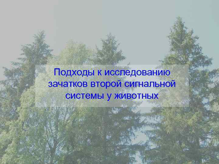 Подходы к исследованию зачатков второй сигнальной системы у животных 