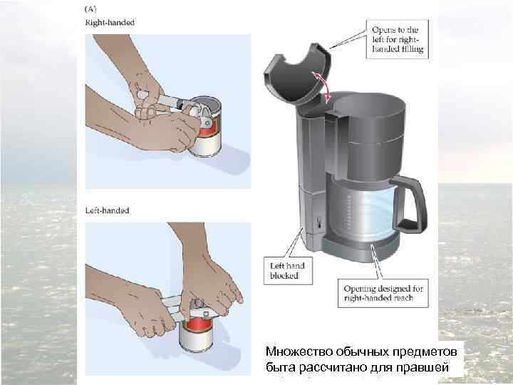 Множество обычных предметов быта рассчитано для правшей 