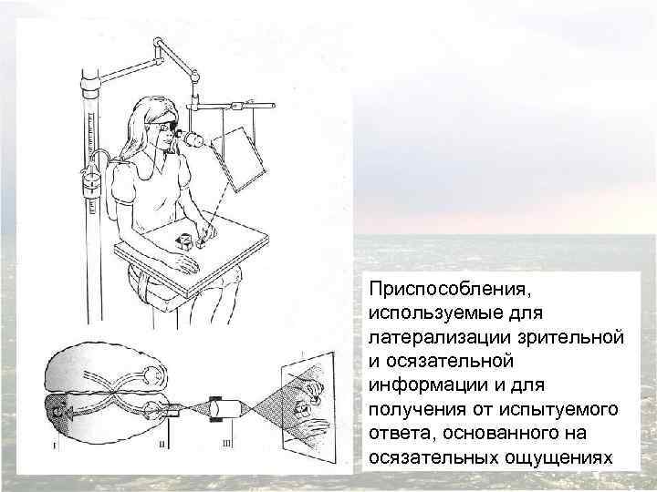 Приспособления, используемые для латерализации зрительной и осязательной информации и для получения от испытуемого ответа,