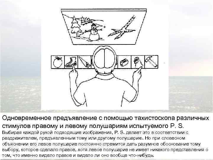 Одновременное предъявление с помощью тахистоскопа различных стимулов правому и левому полушариям испытуемого P. S.