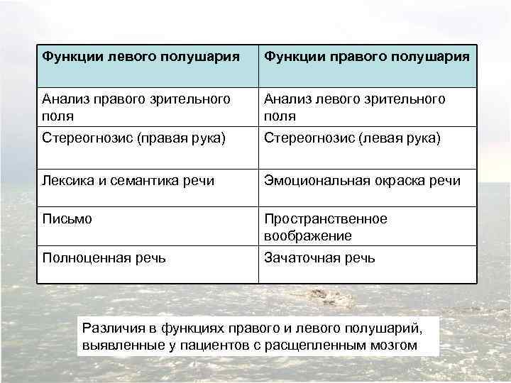 Функции левого полушария Функции правого полушария Анализ правого зрительного поля Анализ левого зрительного поля