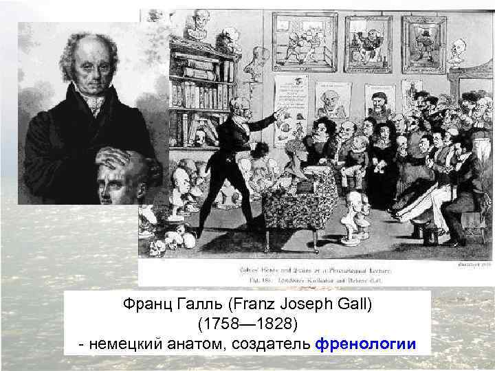 Франц Галль (Franz Joseph Gall) (1758— 1828) - немецкий анатом, создатель френологии 