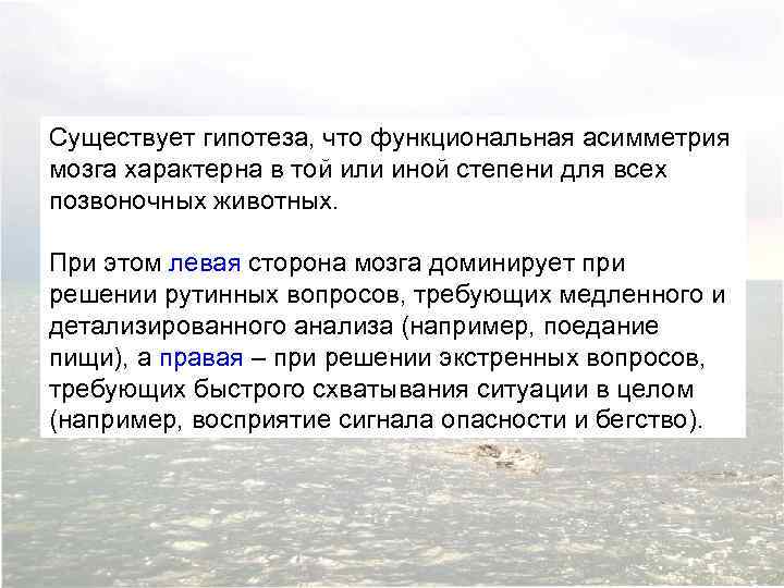 Существует гипотеза, что функциональная асимметрия мозга характерна в той или иной степени для всех