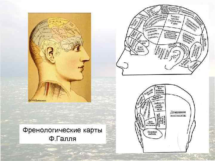 Френологические карты Ф. Галля 