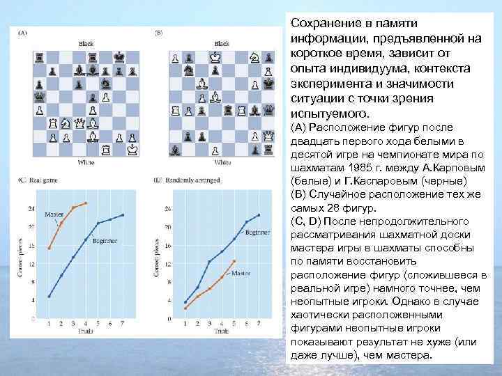 Сохранение в памяти информации, предъявленной на короткое время, зависит от опыта индивидуума, контекста эксперимента