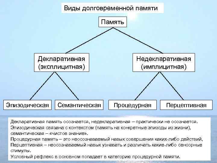 Виды долговременной памяти Память Декларативная (эксплицитная) Эпизодическая Семантическая Недекларативная (имплицитная) Процедурная Перцептивная Декларативная память