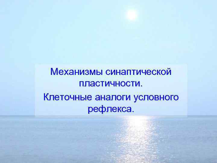 Механизмы синаптической пластичности. Клеточные аналоги условного рефлекса. 