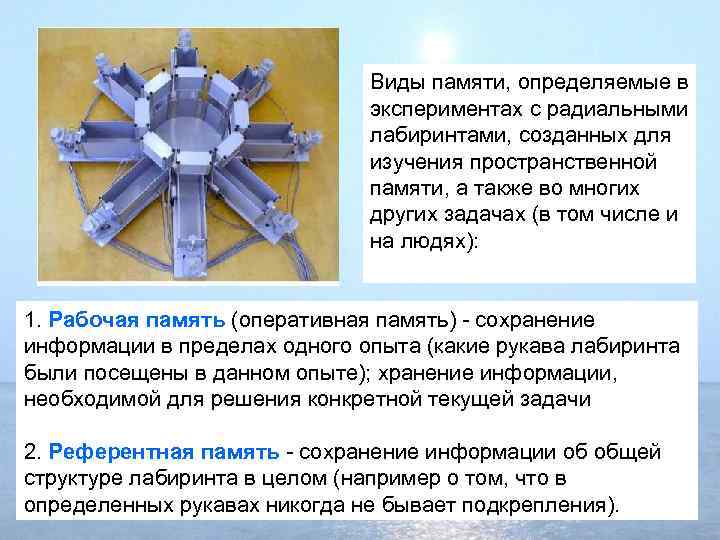 Виды памяти, определяемые в экспериментах с радиальными лабиринтами, созданных для изучения пространственной памяти, а