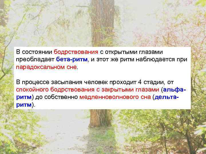 В состоянии бодрствования с открытыми глазами преобладает бета-ритм, и этот же ритм наблюдается при