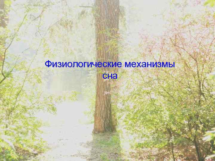 Физиологические механизмы сна 