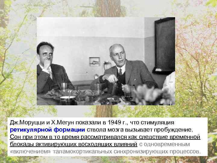 Дж. Моруцци и Х. Мегун показали в 1949 г. , что стимуляция ретикулярной формации