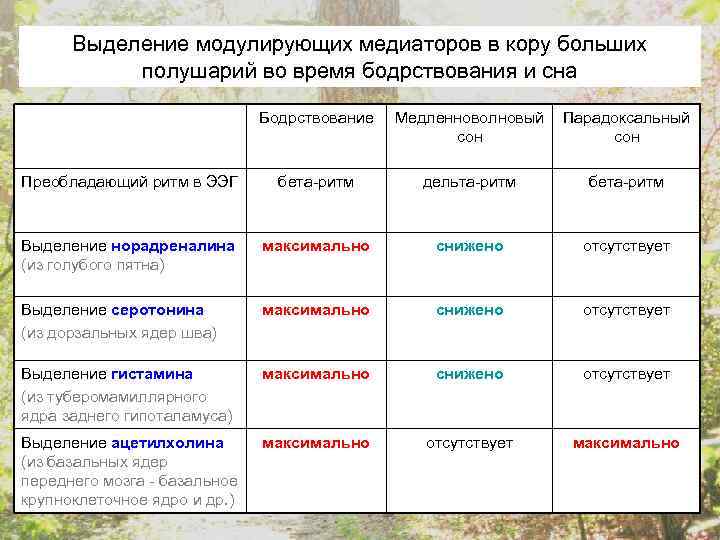 Выделение модулирующих медиаторов в кору больших полушарий во время бодрствования и сна Бодрствование Медленноволновый