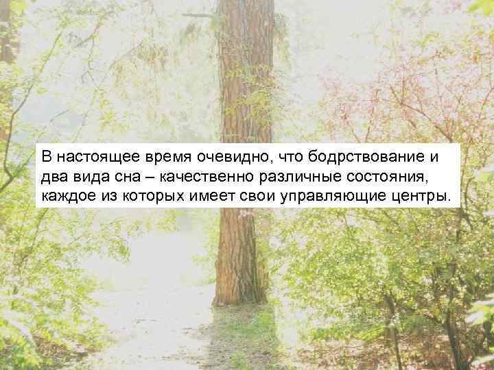 В настоящее время очевидно, что бодрствование и два вида сна – качественно различные состояния,