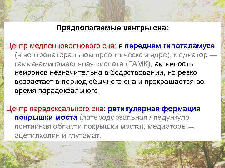 Предполагаемые центры сна: Центр медленноволнового сна: в переднем гипоталамусе, (в вентролатеральном преоптическом ядре), медиатор
