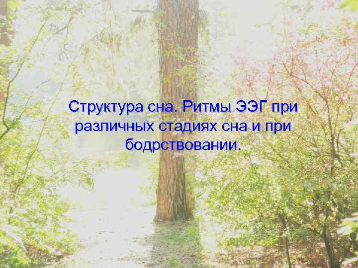 Структура сна. Ритмы ЭЭГ при различных стадиях сна и при бодрствовании. 