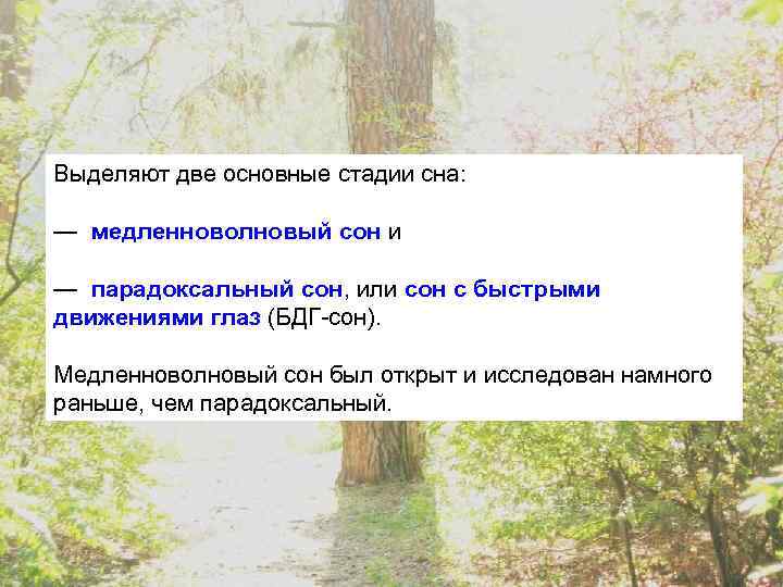 Выделяют две основные стадии сна: — медленноволновый сон и — парадоксальный сон, или сон