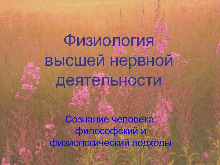 Физиология высшей нервной деятельности Сознание человека: философский и физиологический подходы 