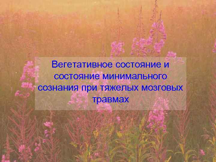 Вегетативное состояние и состояние минимального сознания при тяжелых мозговых травмах 