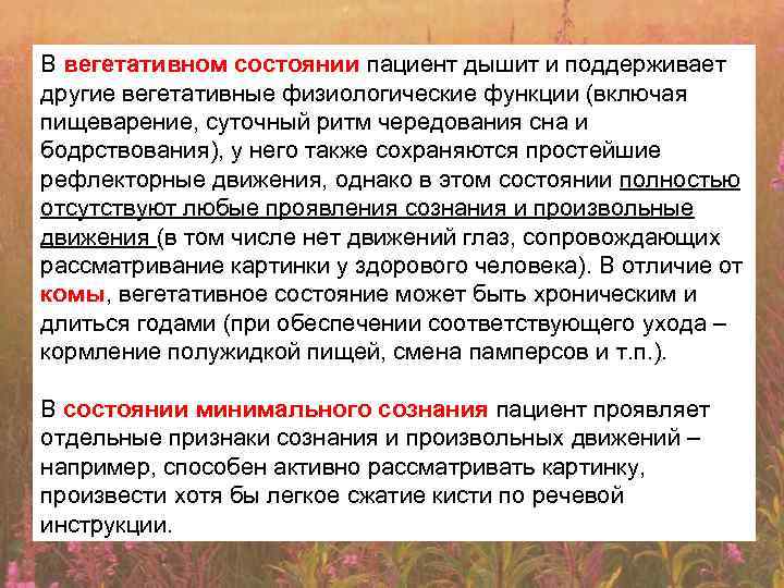 В вегетативном состоянии пациент дышит и поддерживает другие вегетативные физиологические функции (включая пищеварение, суточный