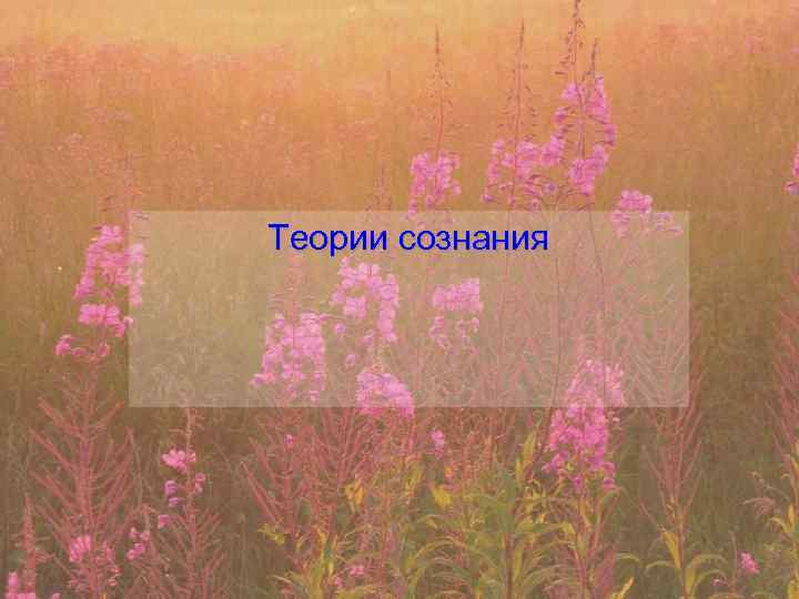 Теории сознания 