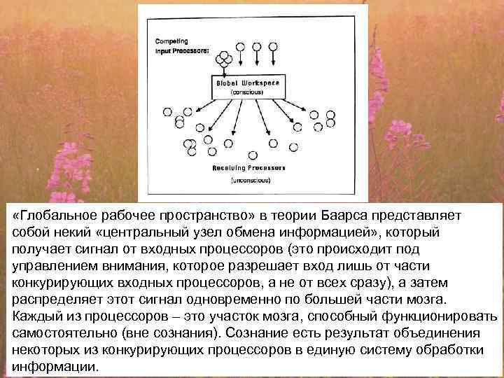  «Глобальное рабочее пространство» в теории Баарса представляет собой некий «центральный узел обмена информацией»