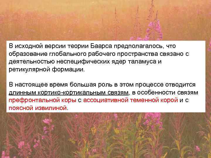 В исходной версии теории Баарса предполагалось, что образование глобального рабочего пространства связано с деятельностью