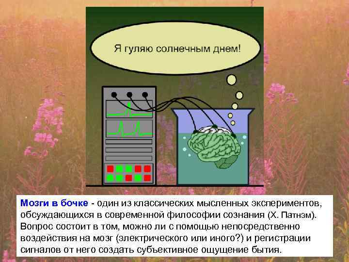 Мозги в бочке - один из классических мысленных экспериментов, обсуждающихся в современной философии сознания