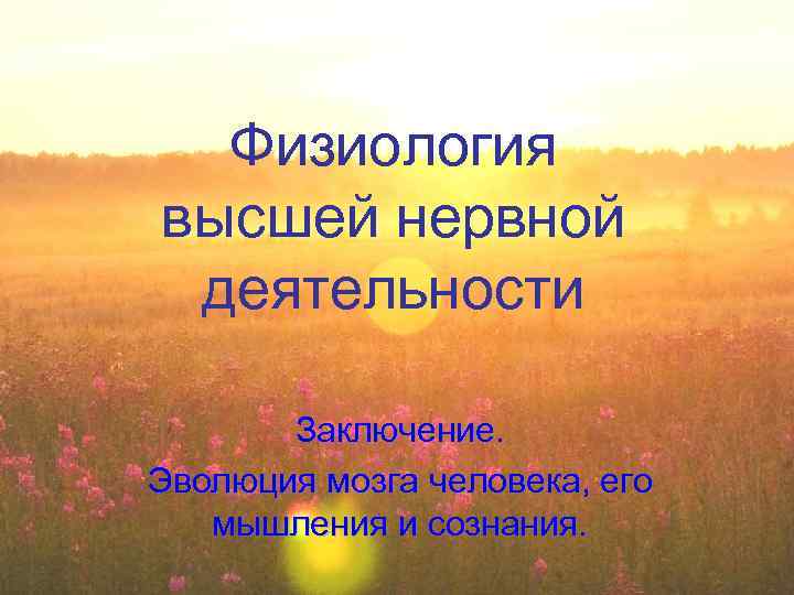 Физиология высшей нервной деятельности Заключение. Эволюция мозга человека, его мышления и сознания. 